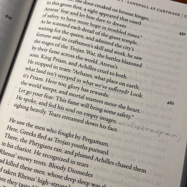 Photo of text from "The Aeneid" showing my note: "Instagram" for where it says "He spoke, and fed his soul on empty images".